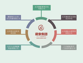 藏象集團 引領(lǐng)網(wǎng)絡(luò)技術(shù)服務(wù)新紀元，賦能企業(yè)數(shù)字化轉(zhuǎn)型